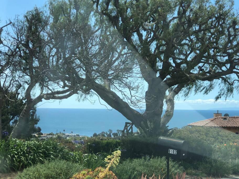 30 Pct Off!! Limited Time! Malibu Charming Getaway With King Bed, Near Beach Exteriér fotografie