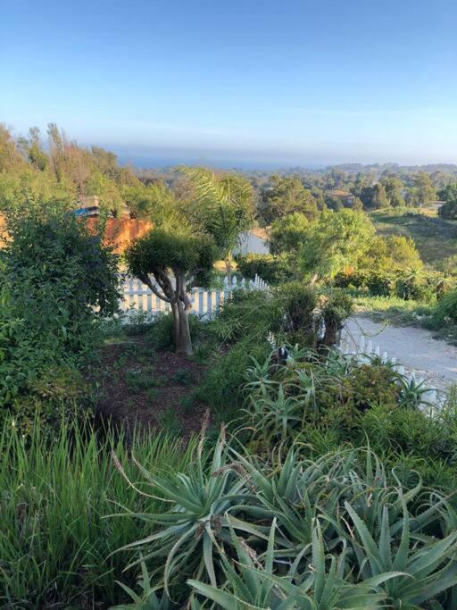 30 Pct Off!! Limited Time! Malibu Charming Getaway With King Bed, Near Beach Exteriér fotografie