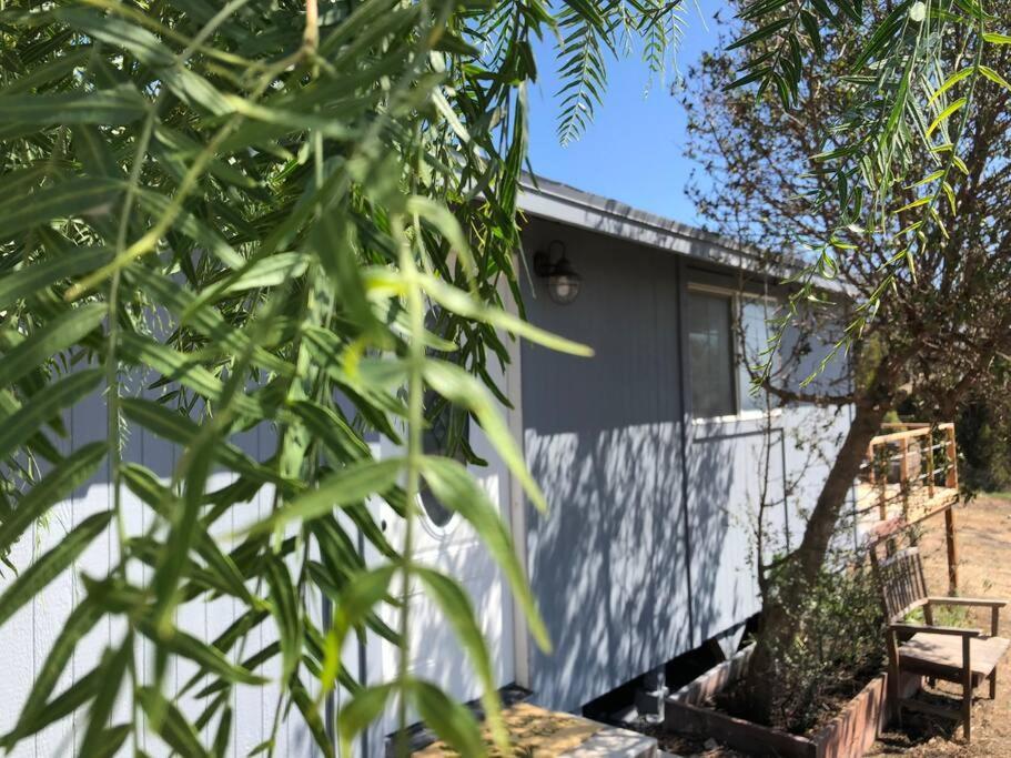 30 Pct Off!! Limited Time! Malibu Charming Getaway With King Bed, Near Beach Exteriér fotografie